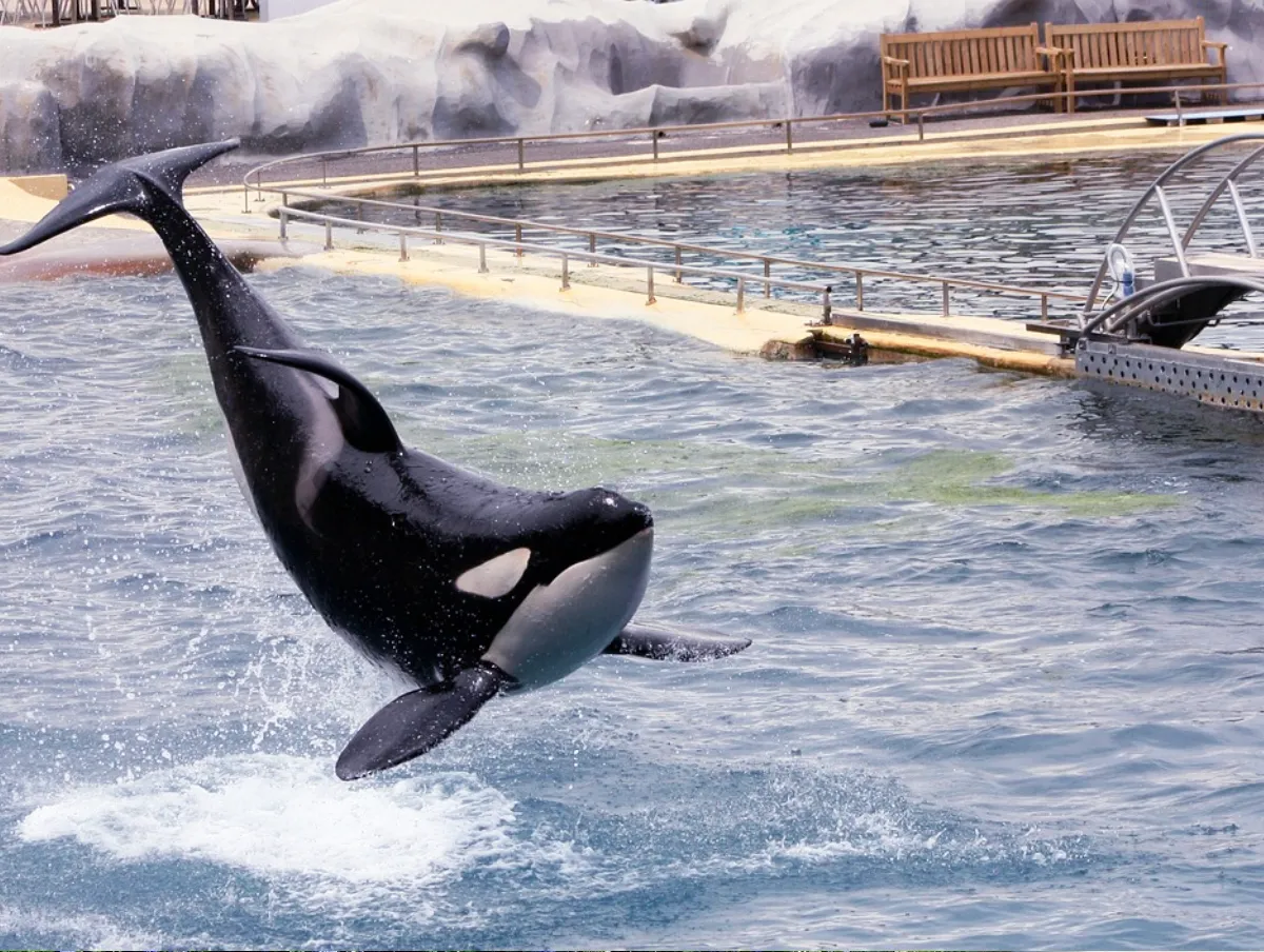 marineland-02
