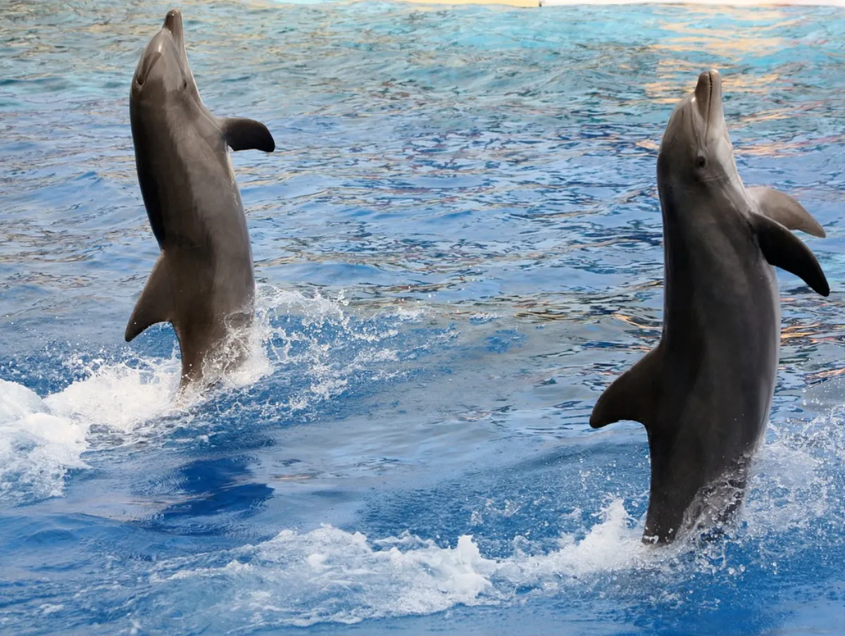 marineland-03