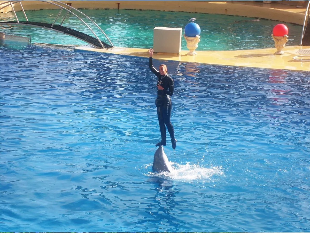marineland-04