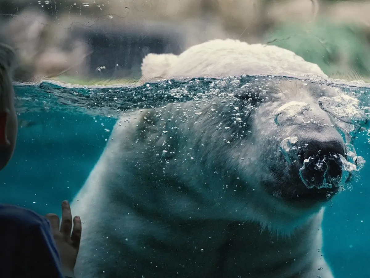 marineland-05