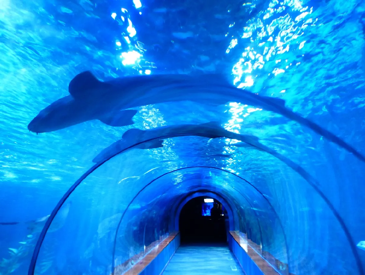 marineland-06