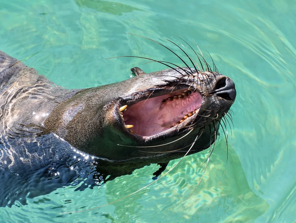marineland-07