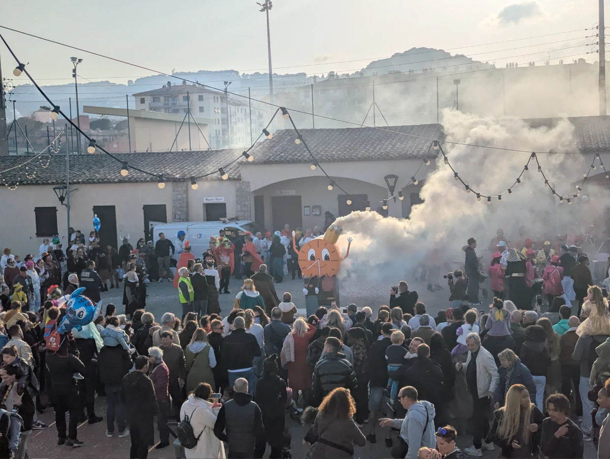 Carnaval Darnega Vallauris