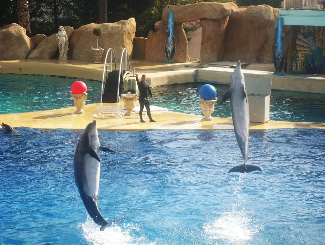 Marineland