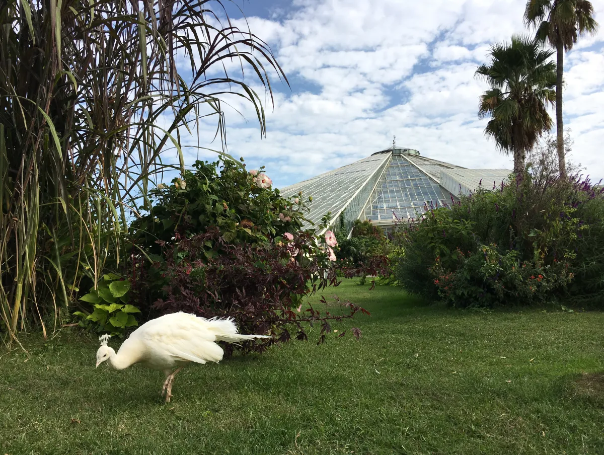Parc Phoenix Cote Azur