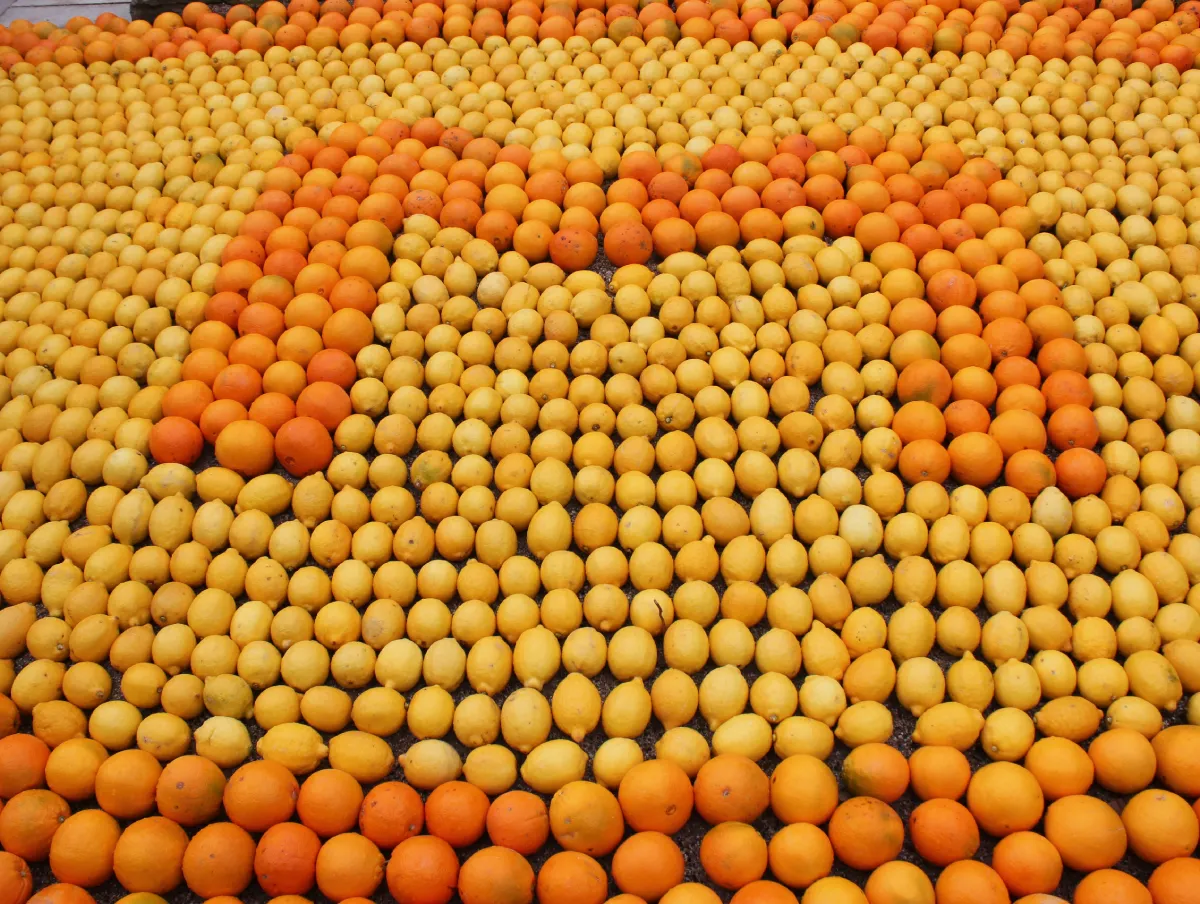 Fête du Citron à Menton