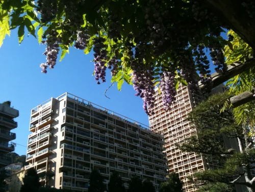 Jardin Japonais Monaco