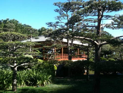 Jardin Japonais Monaco