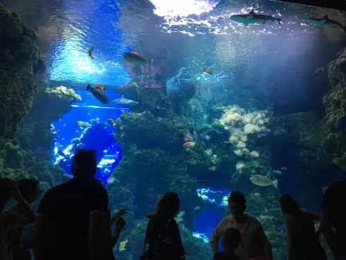 Musée Océanographique Monaco