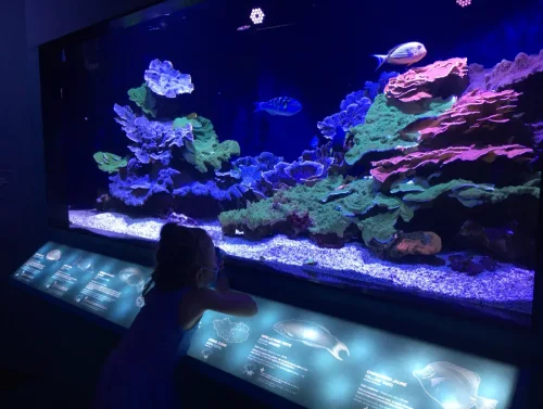 Musée Océanographique Monaco