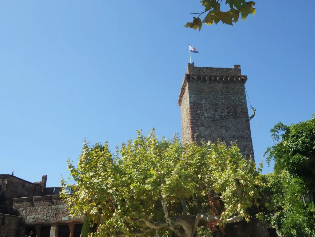 Chateau Mandelieu 06