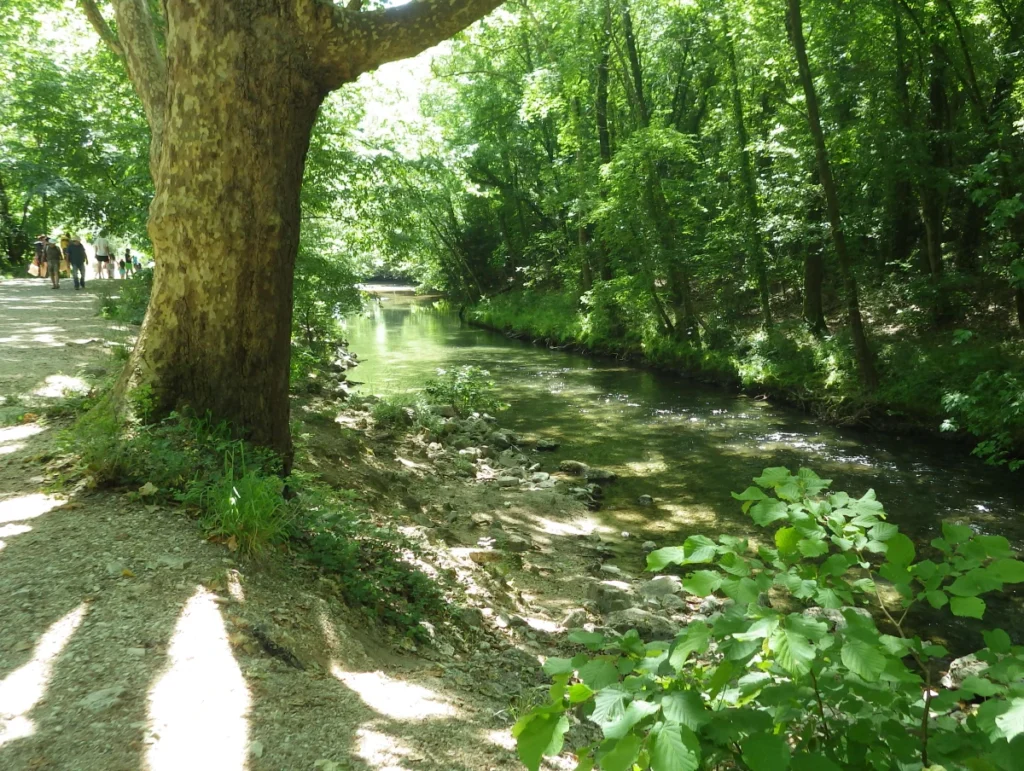 Rives du Loup 06