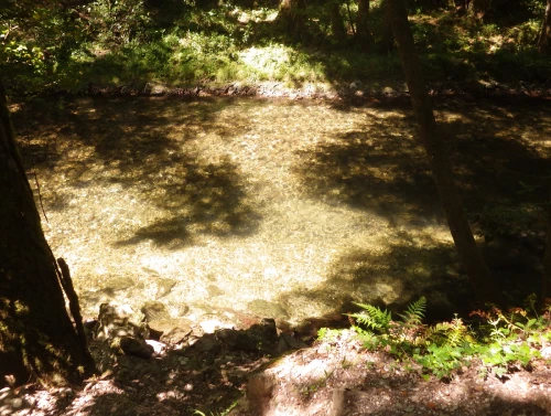 Rives du Loup Se baigner dans le 06