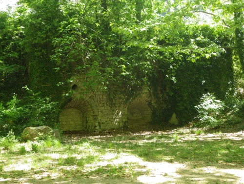 Rives du Loup 06 Cote d'Azur