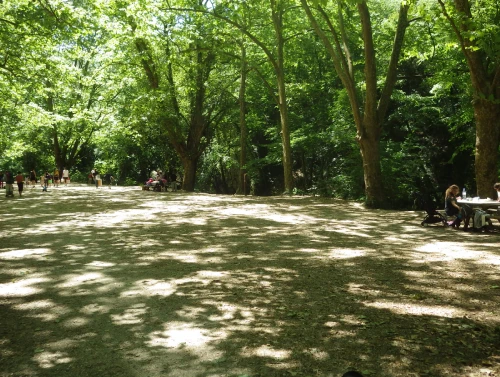 Rives du Loup 06 Cote d'Azur