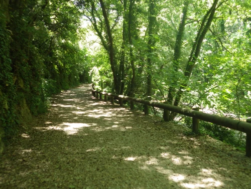 Rives du Loup 06 Cote d'Azur