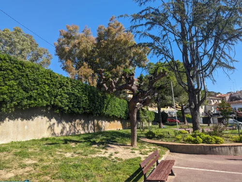 Square Pascal Correia Vallauris 06