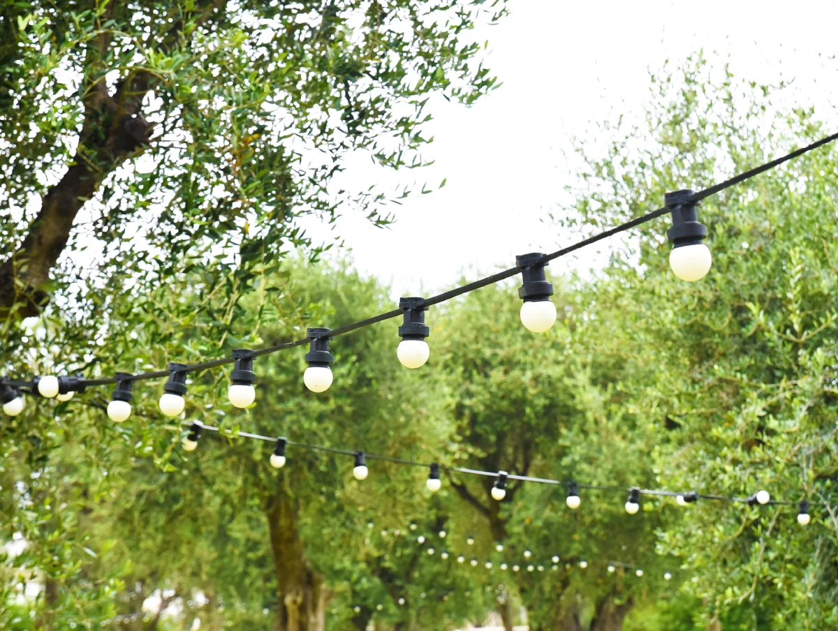 Jardin de l'Olivaie à Beaulieu sur Mer © Simon Tripnaux