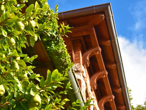 Jardin de l'Olivaie à Beaulieu sur Mer © Simon Tripnaux