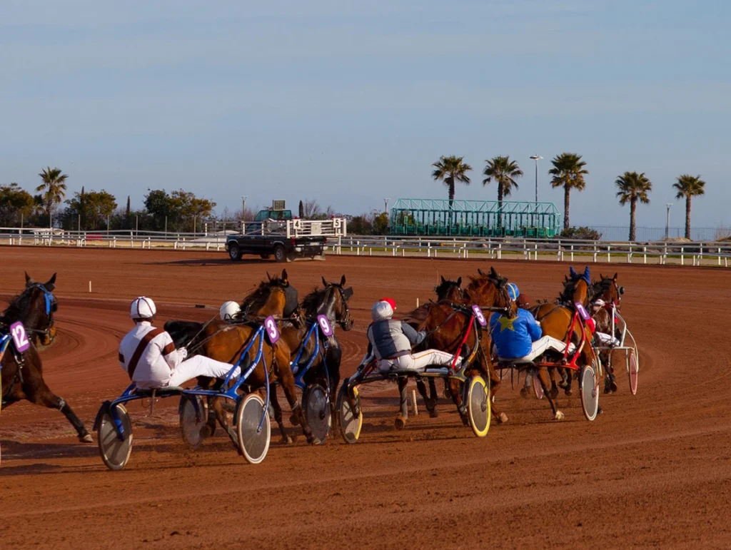 Hippodrome Côte Azur courses de cheveux