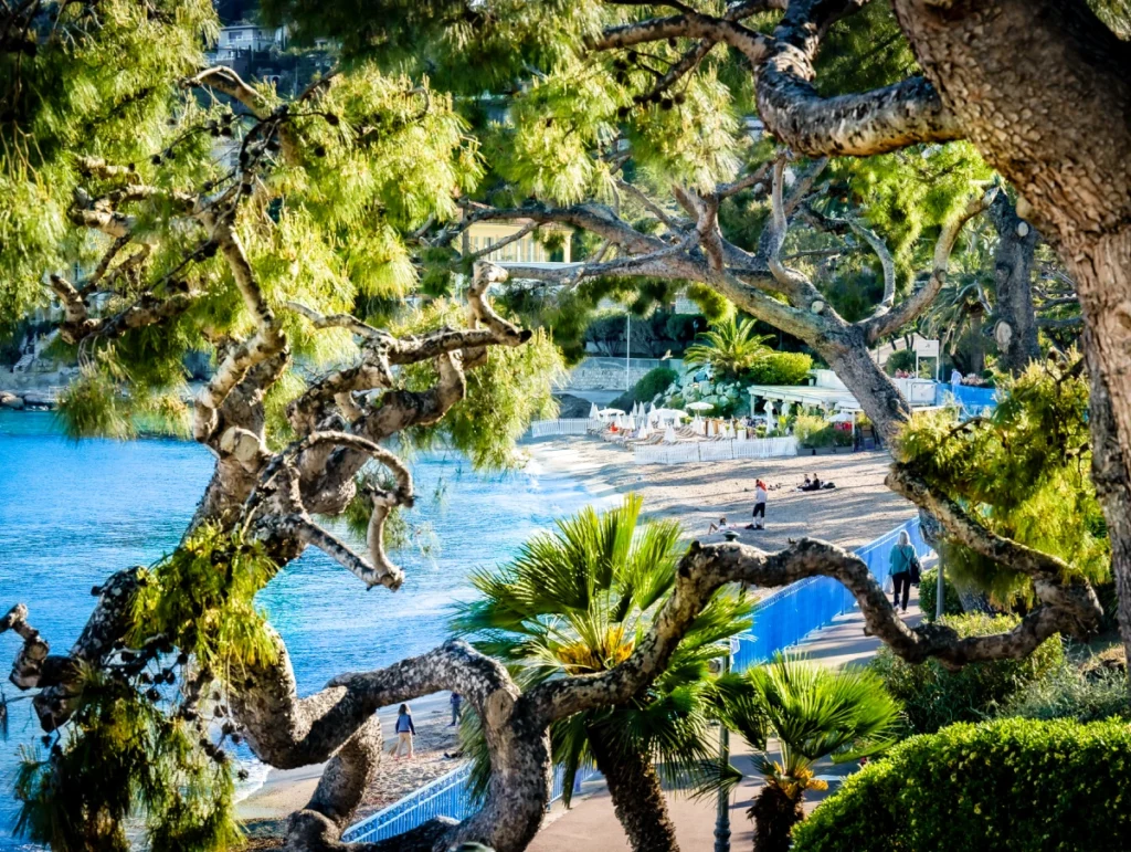 Plage de la Baie des Fourmis à Beaulieu sur Mer © Clément Vautel