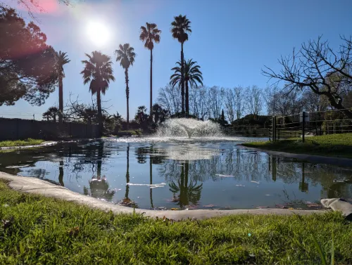 Jardin Cote Azur