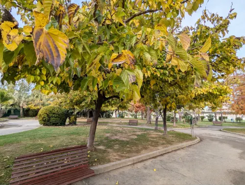 Square des Hespérides Cannes