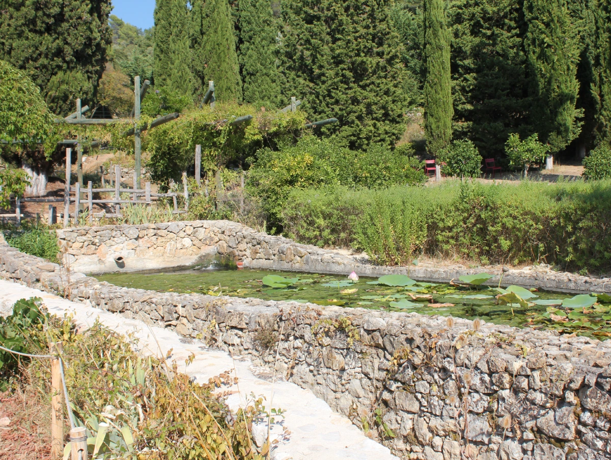 Jardins MIP