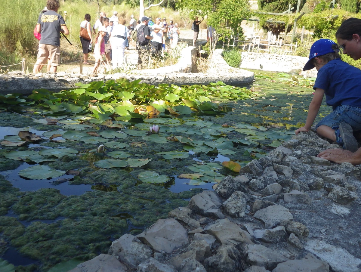Visites Jardins MIP mouans Sartoux