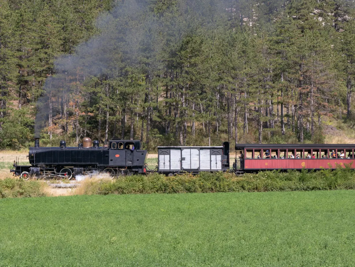 Train des Pignes