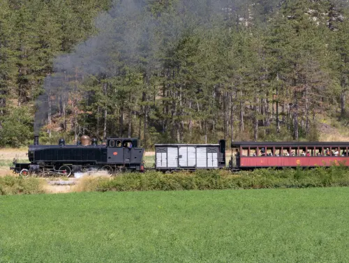 Train des Pignes