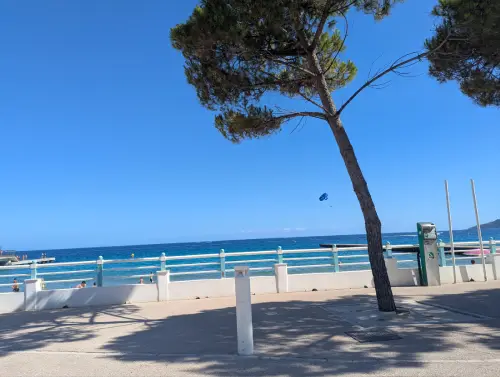 Plage du Midi Cannes