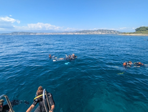 Plongée en Méditerranée Mandelieu Cote Azur
