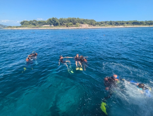 Plongée en Méditerranée Mandelieu Cote Azur