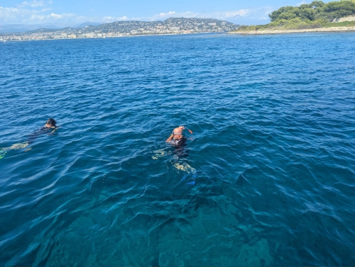 Plongée en Méditerranée Mandelieu Cote Azur