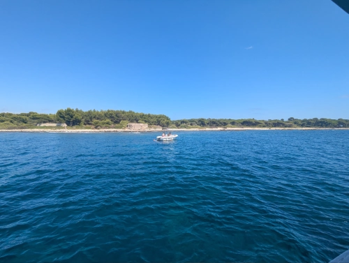 Plongée en Méditerranée Mandelieu Cote Azur