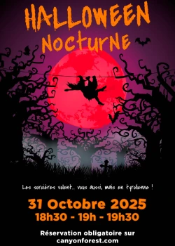 Vendredi 31 octobre 2025 : Nocturne Halloween
