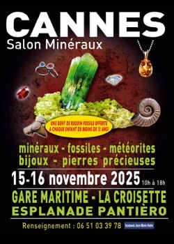 Les 15 et 16 novembre 2025 : Salon international des minéraux