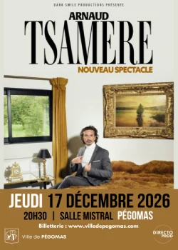 Jeudi 17 décembre 2026 : Arnaud Tsamere - Nouveau spectacle