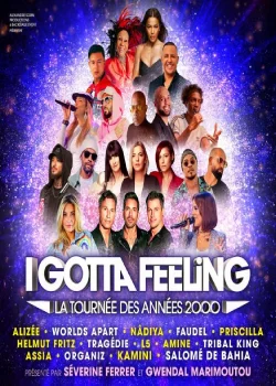 Jeudi 29 janvier 2026 : I gotta feeling