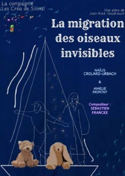 Les 10 et 11 janvier 2026 : La migration des oiseaux invisibles