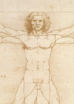 Du 20 février au 5 juin 2026 : Léonard de Vinci, à la croisée des Arts et des Sciences