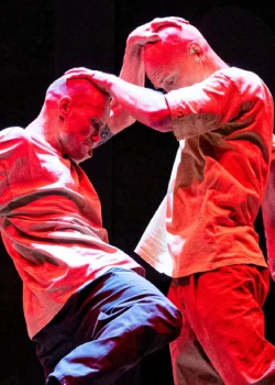 Dimanche 22 novembre 2026 : Plateforme Studiotrade