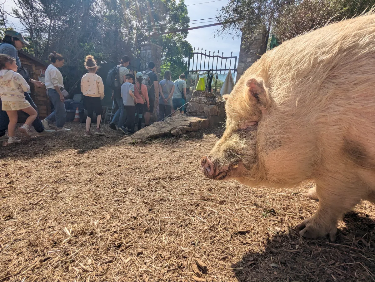 Ferme pédagogique Alpes Maritimes
