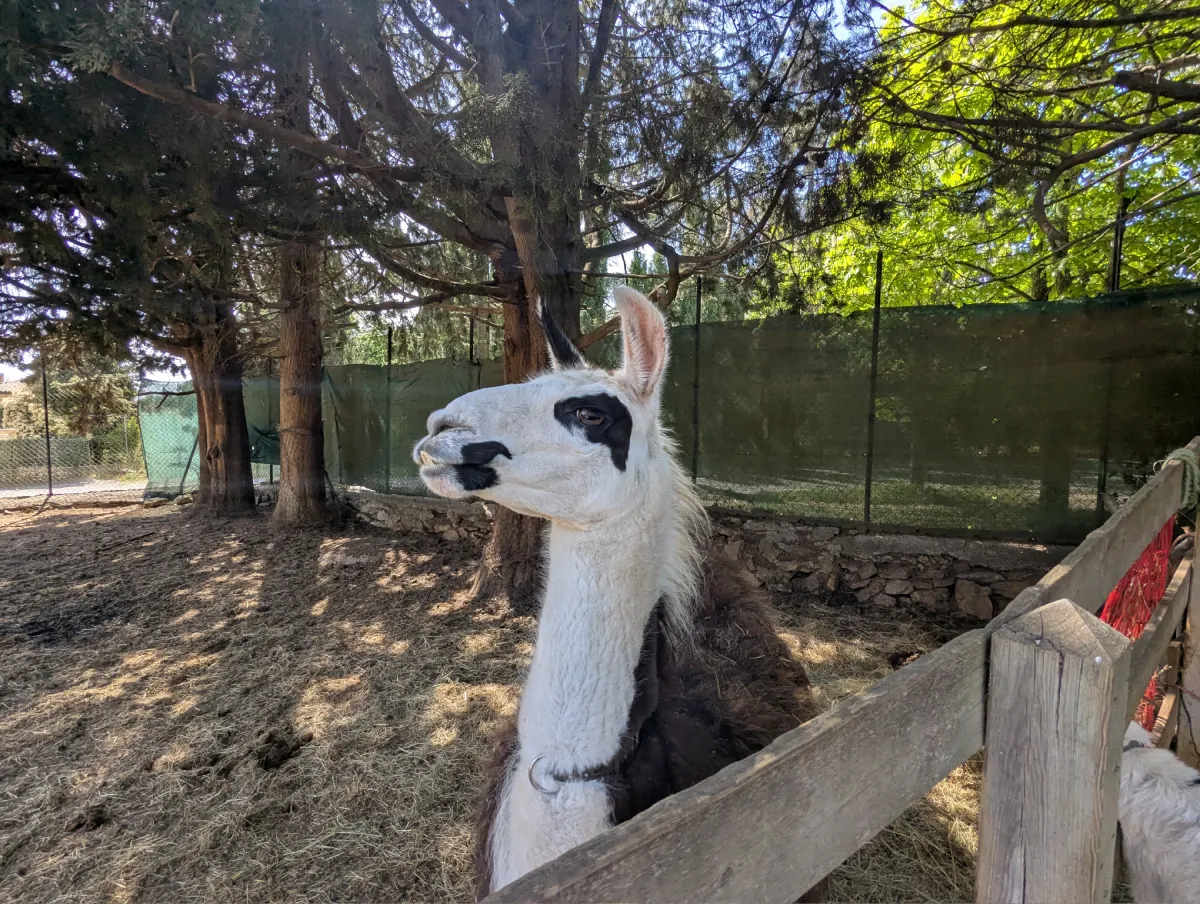 Ferme pédagogique Cote Azur