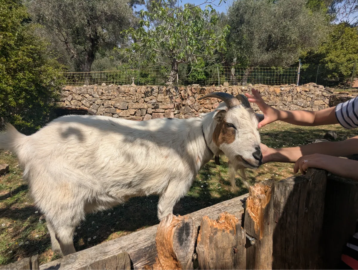 Ferme pédagogique Saint Cézaire Terre Soleil