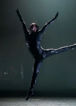 Mardi 1er décembre 2026 : Her voice a dance tribute to Nina Simone
