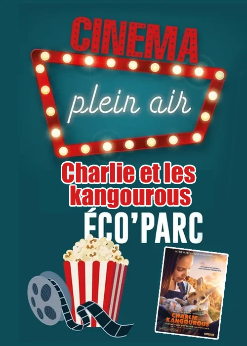 Charlie et les kangourous
