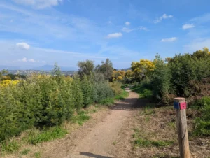 Parc Croix des Gardes Cannes
