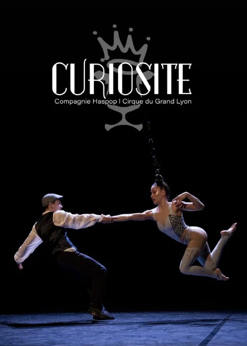 Curiosité cirque
